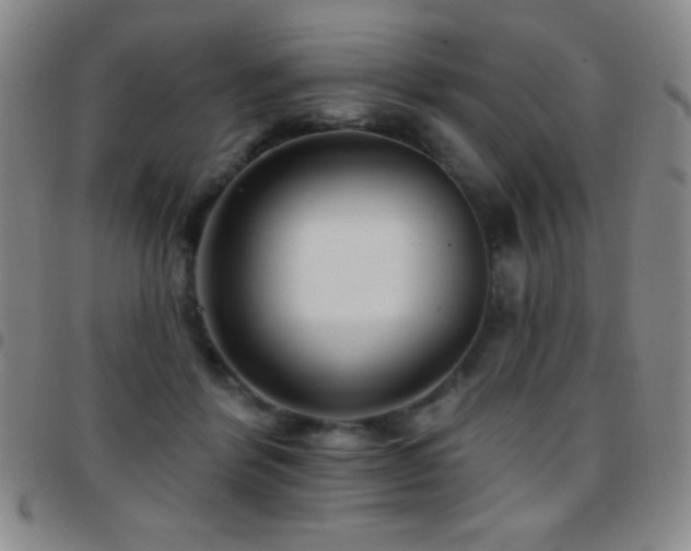 X0000097850412200803141221