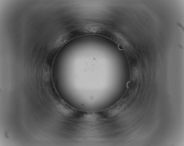 X0000097850414200803141221