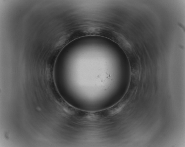 X0000097850416200803141221