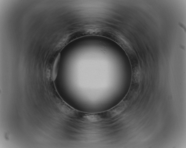 X0000097850417200803141221