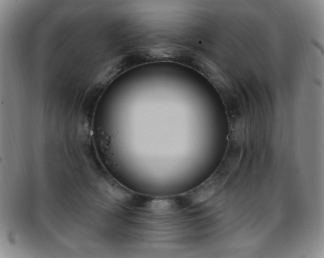 X0000097850418200803141221