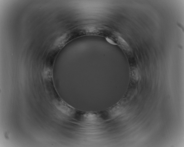 X0000097850419200803141221