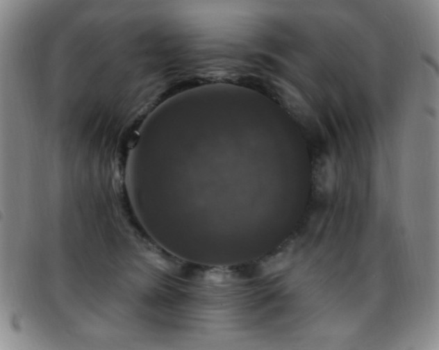 X0000097850420200803141221
