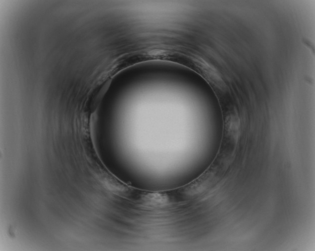 X0000097850421200803141221