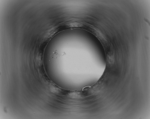 X0000097850422200803141221