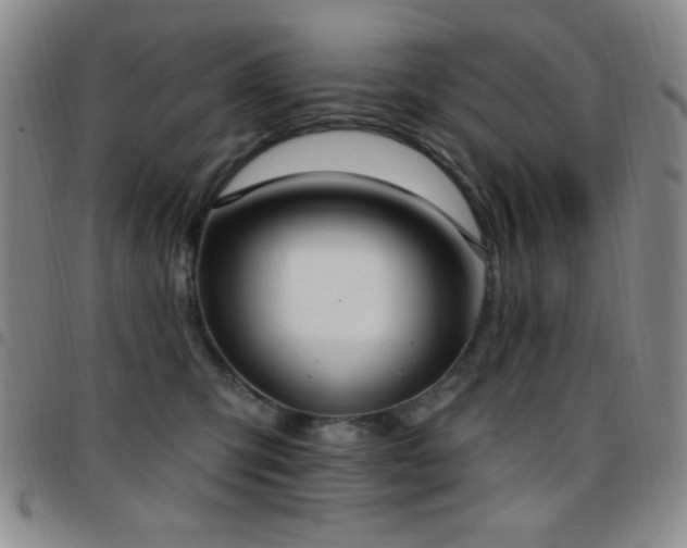 X0000097850423200803141221