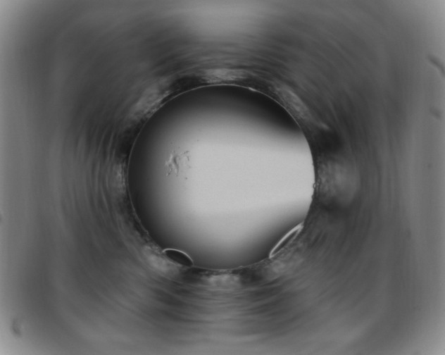 X0000097850426200803141221