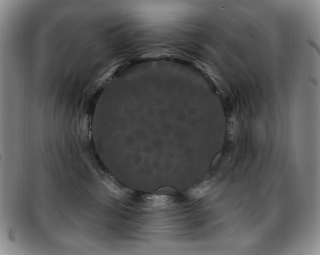 X0000097850428200803141221