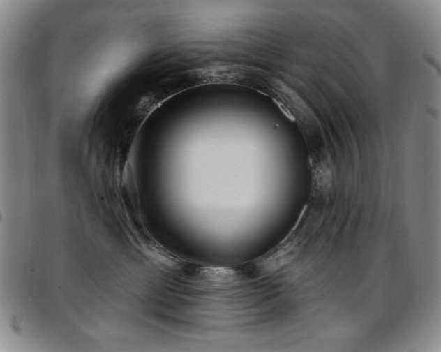 X0000097850429200803141221
