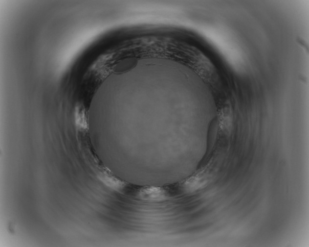 X0000097850431200803141221