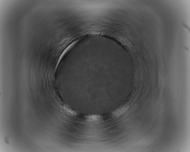 X0000097850432200803141221