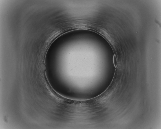 X0000097850433200803141220