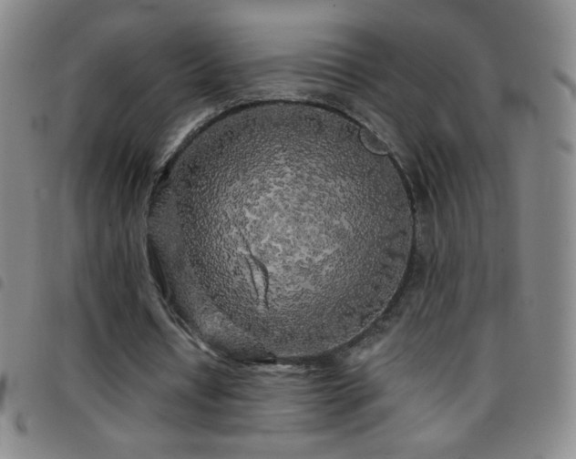 X0000097850434200803141220