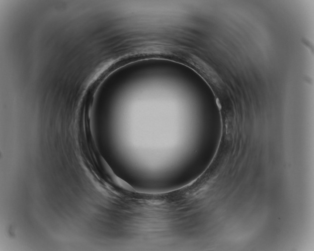X0000097850436200803141220
