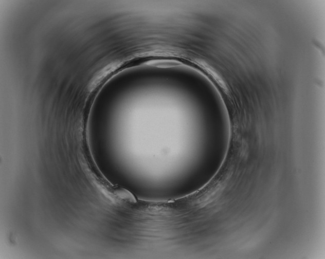 X0000097850437200803141220