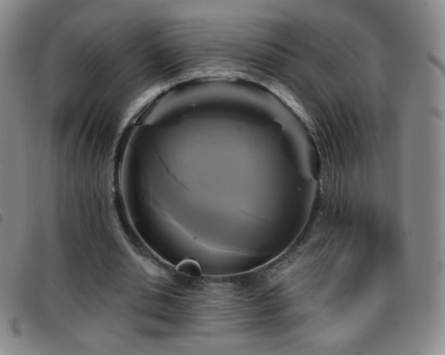 X0000097850438200803141220