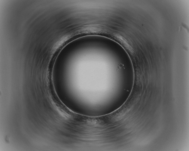 X0000097850439200803141220