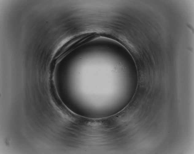 X0000097850440200803141220