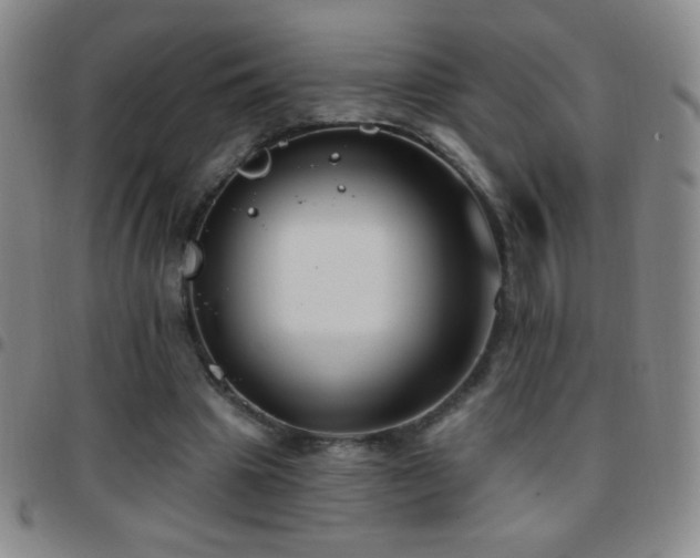 X0000097850441200803141220