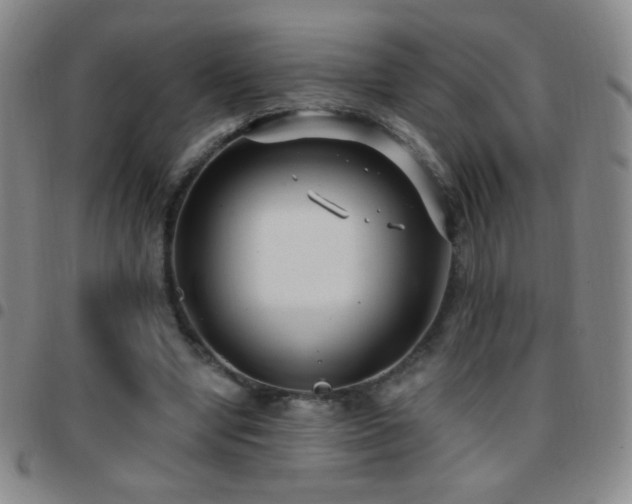 X0000097850442200803141220