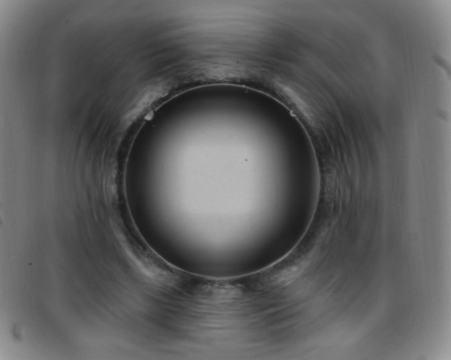 X0000097850443200803141220
