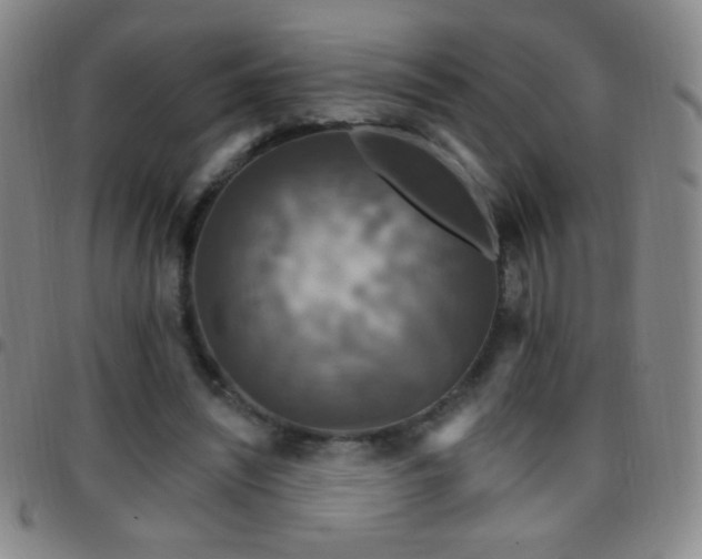 X0000097850444200803141220