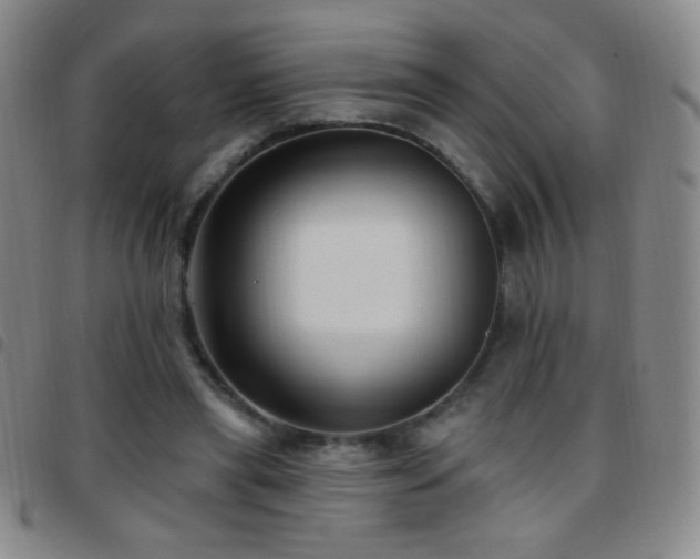 X0000097850445200803141220