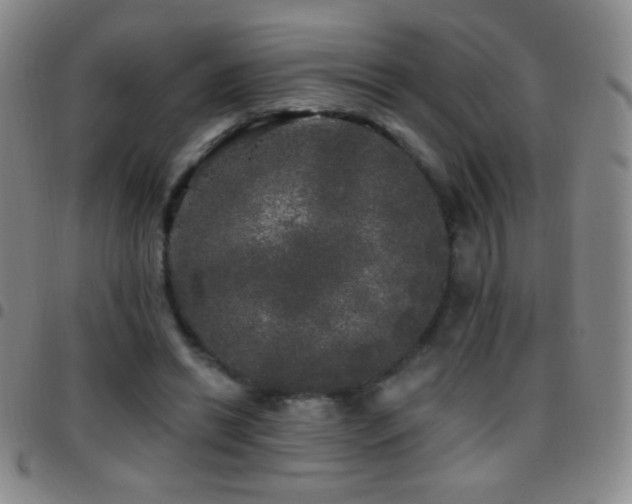 X0000097850446200803141220
