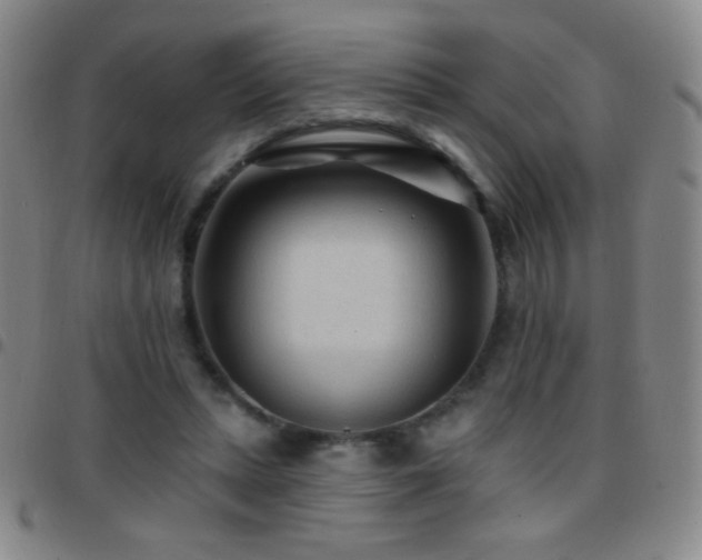 X0000097850447200803141220