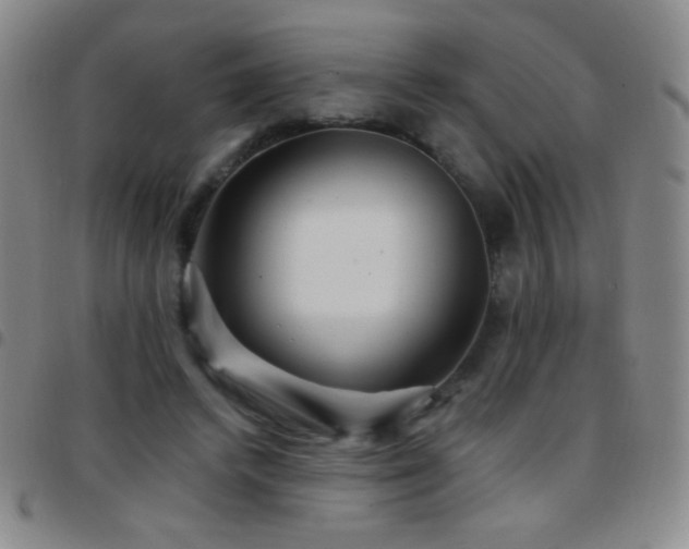 X0000097850448200803141220