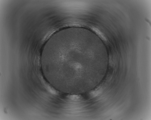 X0000097850449200803141220