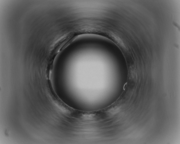 X0000097850450200803141220