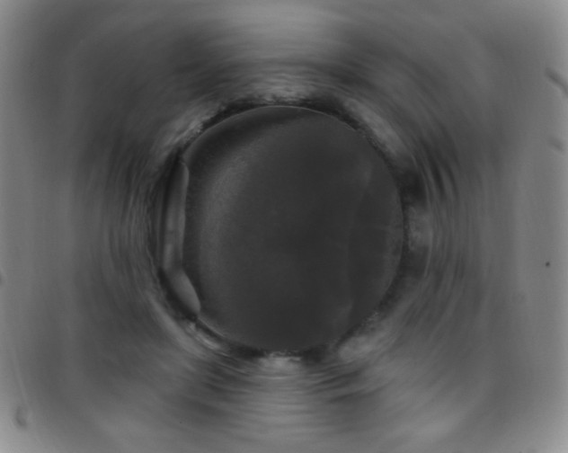 X0000097850451200803141220