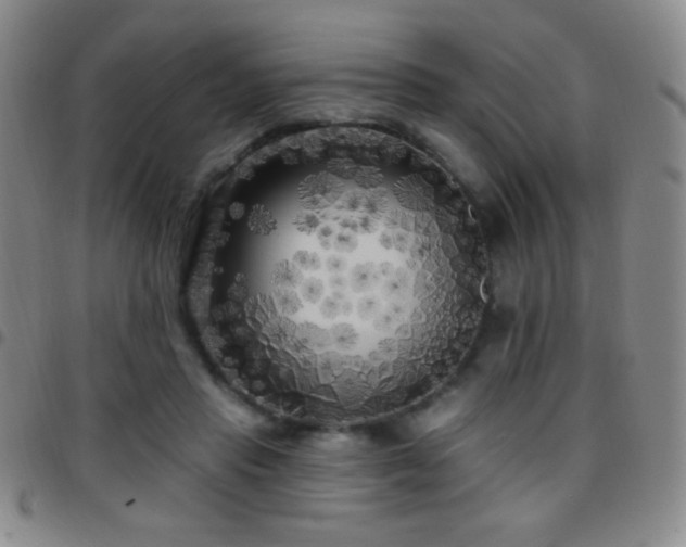 X0000097850453200803141220