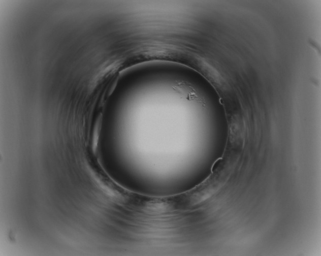 X0000097850454200803141220