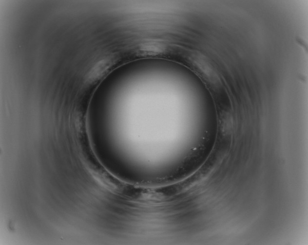 X0000097850455200803141220