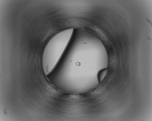 X0000097850457200803141220