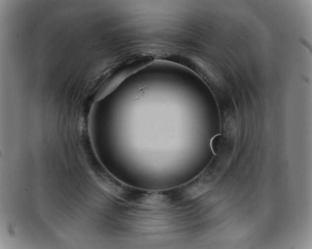 X0000097850459200803141221
