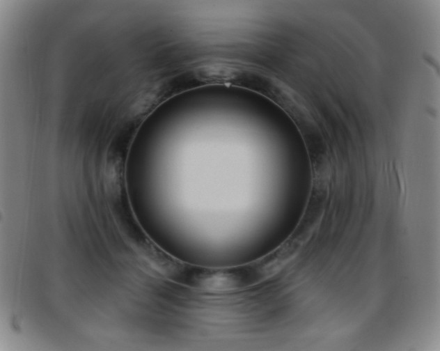 X0000097850460200803141221
