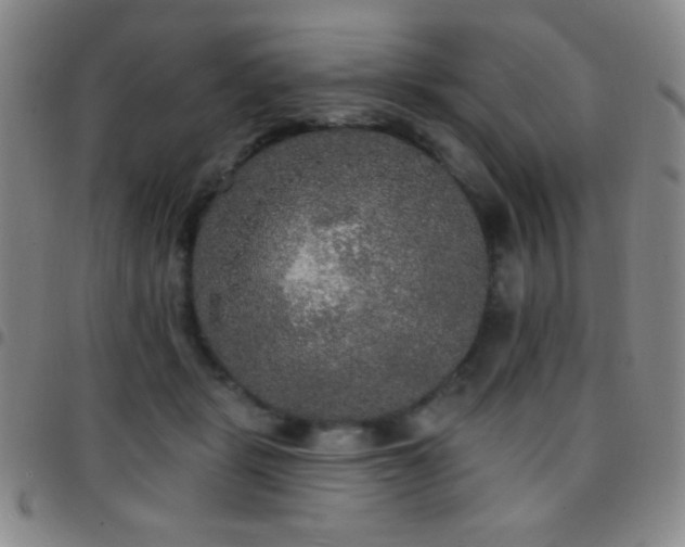 X0000097850461200803141221