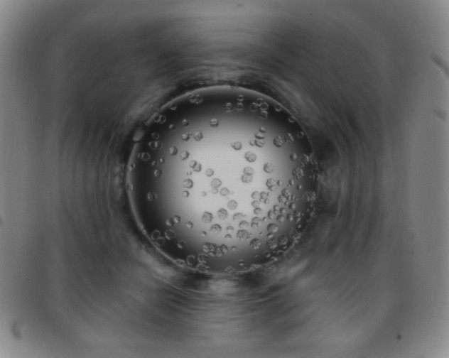X0000097850462200803141221