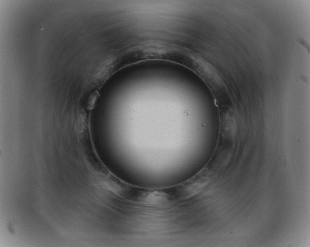 X0000097850463200803141221