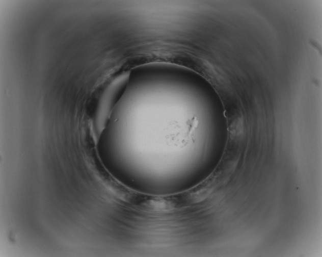 X0000097850464200803141221
