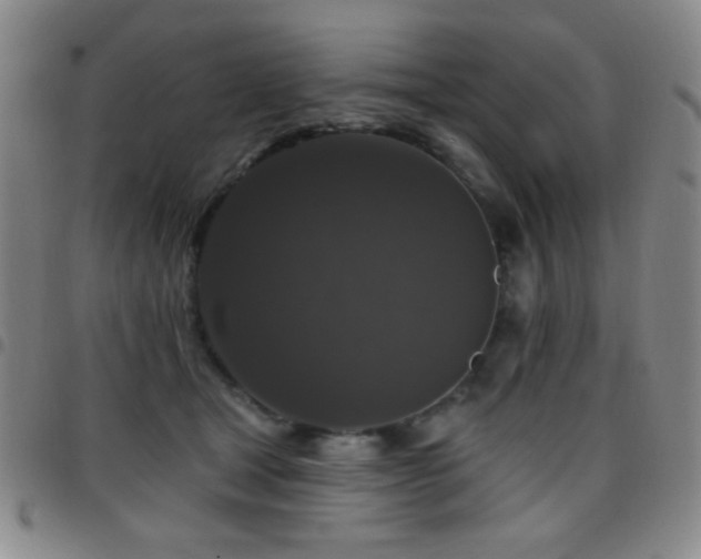 X0000097850465200803141221