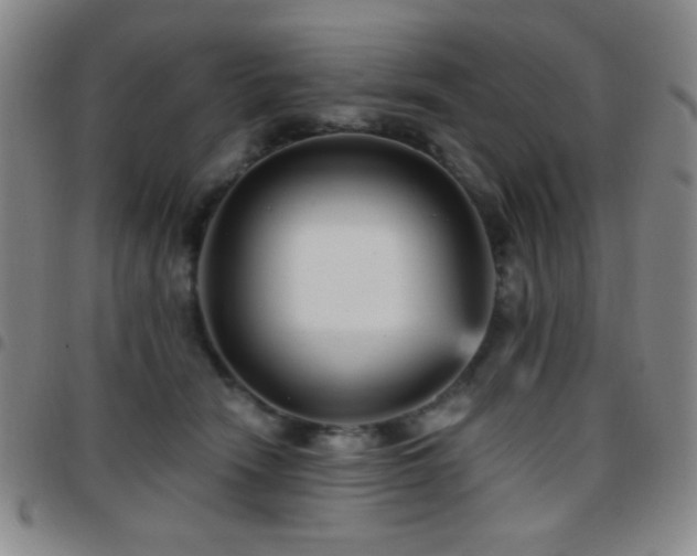 X0000097850466200803141221