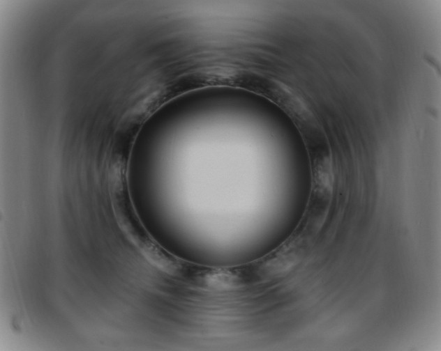 X0000097850468200803141221