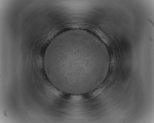 X0000097850469200803141221