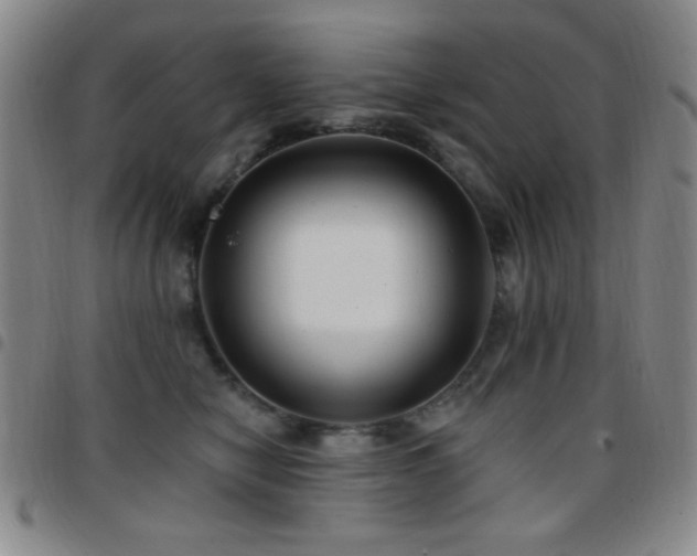 X0000097850470200803141221