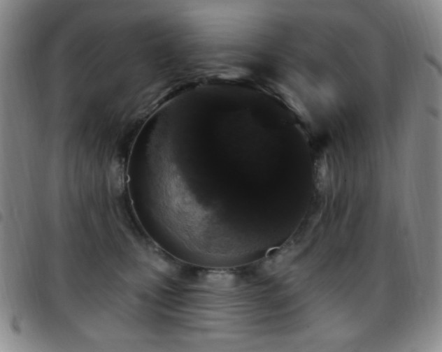 X0000097850471200803141221