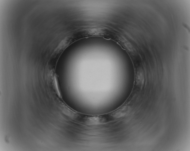 X0000097850473200803141221